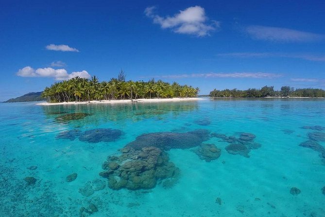 Bora Bora Private Lagoon Tours - Snorkeling with your own captain
