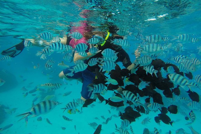 Bora Bora Private Lagoon Tours - Setting out from Bora-Bora
