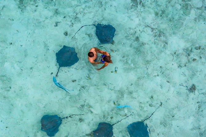 Bora Bora Snorkel Cruise by Polynesian Outrigger Canoe with BBQ Island Lunch - The coral garden is the main event