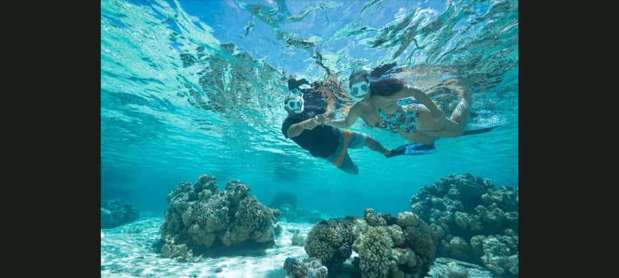 Bora Bora: Snorkeling and Fishing Tour with Lunch Option - Key points to know before booking