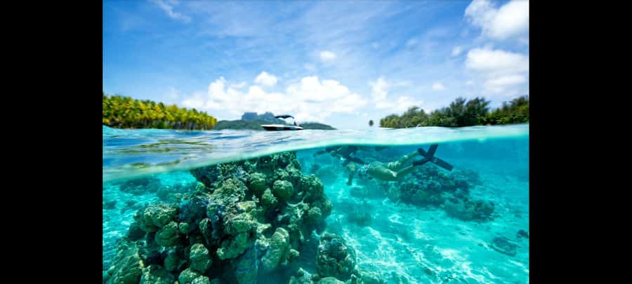 Bora Bora: Snorkeling and Fishing Tour with Lunch Option - Fishing in the lagoon or near Bora Bora’s pass