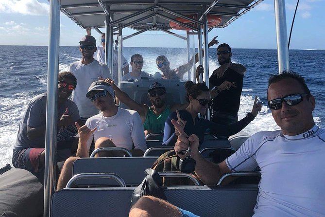 Bora Bora Whale Watching - The possible swim with a whale