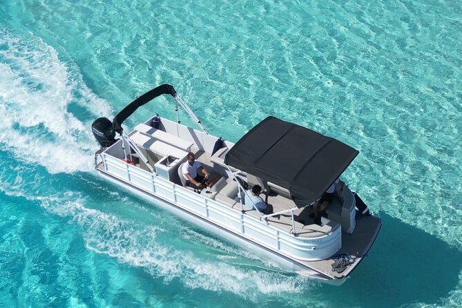 Bora Bora Whale Watching - Is $309.73 per person a fair price?