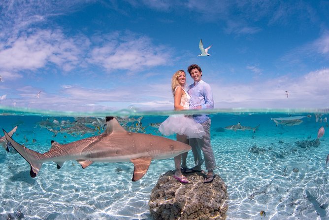 Combo Diving and Snorkeling Full Day Tour - A private boat changes the pace