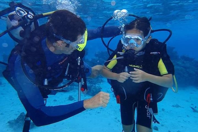 Combo Diving and Snorkeling Half-Day Tour - Key points at a glance