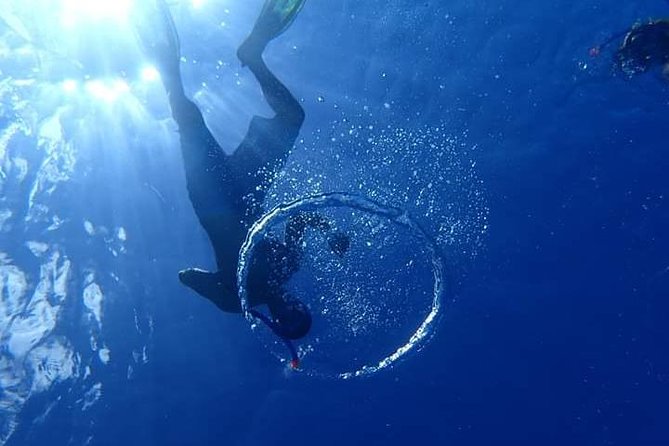 Combo Diving and Snorkeling Half-Day Tour - Two snorkeling stops after scuba