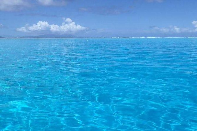 Combo Diving and Snorkeling Half-Day Tour - Starting at 8:30 am with hotel pickup