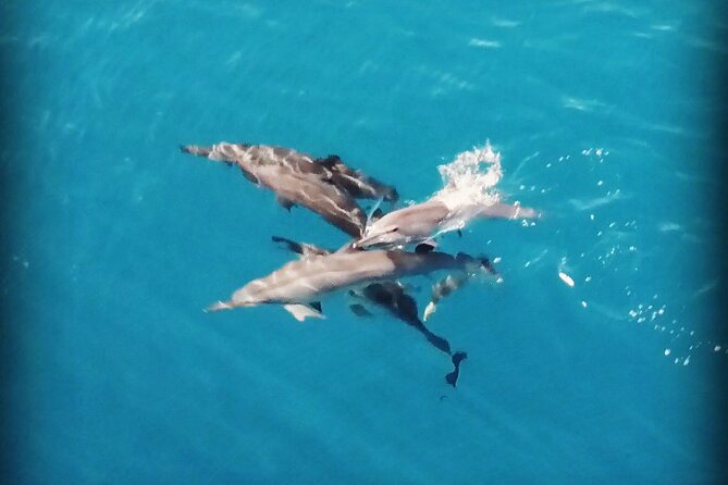 Combo Jet Ski Excursion + 4X4 Safari - The private jet ski ride with Moorea Watersport