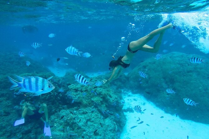 Combo snorkeling + motu lunch + jet ski group tour full day - Coral gardens filled with small fish