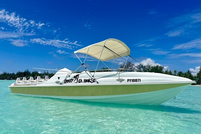 Crazy sea horse Bora Bora Comfortable boat, snorkeling and lunch - Swimming with rays, sharks, and tropical fish