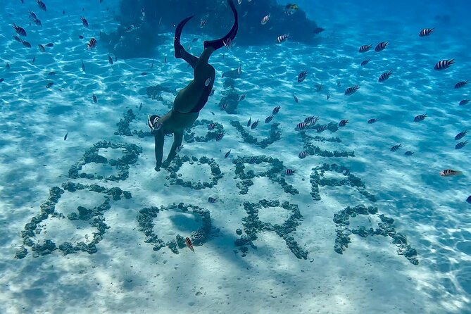 Crazy sea horse Bora Bora Comfortable boat, snorkeling and lunch - Lunch on a motu with island demonstrations