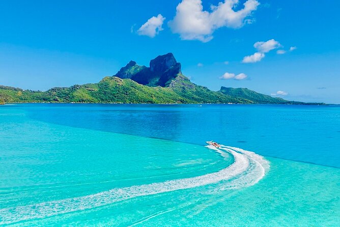 Crazyseahorseborabora Comfortable boat , sensational snorkeling . - Snorkeling with sharks and several kinds of rays