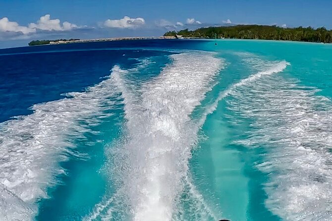 Crazyseahorseborabora Comfortable boat , sensational snorkeling . - What is included, and what you still need to plan