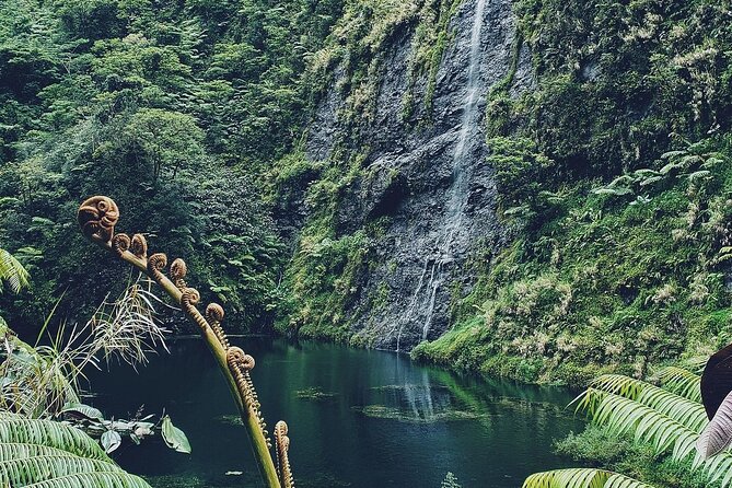 Crossing Over Tahiti Island Safari 4x4 - Giant ferns, waterfalls, and mountain streams