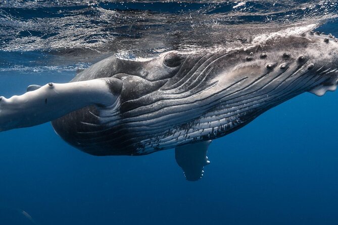 DEEP SEA FISHING 1/2 day (private group) - Snacks, scenery, and the quiet stretches