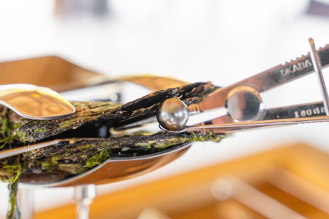 Discover the black pearl in Bora Bora - Learning pearl farming on motu Taufarii