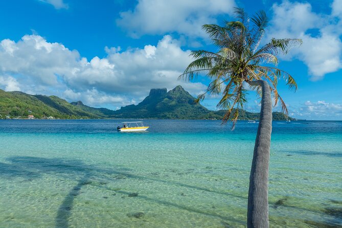 Discover the black pearl in Bora Bora - Who will enjoy this most?