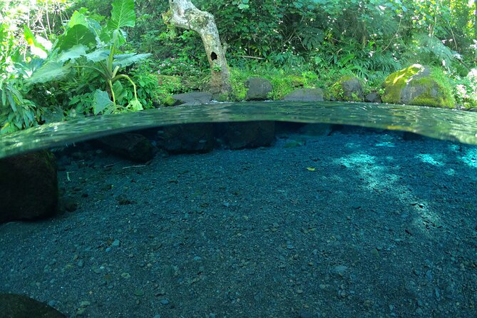 Discovering the emblematic sites of Tahiti - Faarumai Waterfalls in the Papenoo Valley