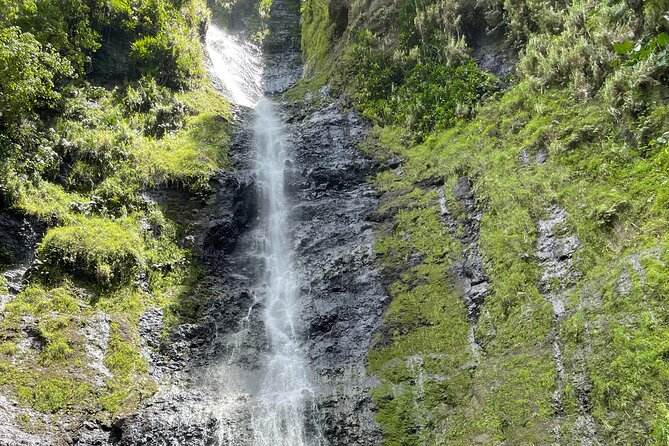 Discovering the emblematic sites of Tahiti - Arahurahu Marae and Tahiti’s Polynesian past