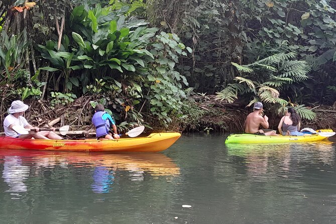 Discovery in Kayaking of the Faaroa River in Raiatea - Key points about kayaking the Faaroa River