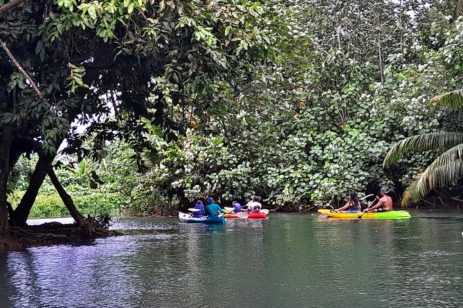 Discovery in Kayaking of the Faaroa River in Raiatea - Why the Faaroa River is the whole point