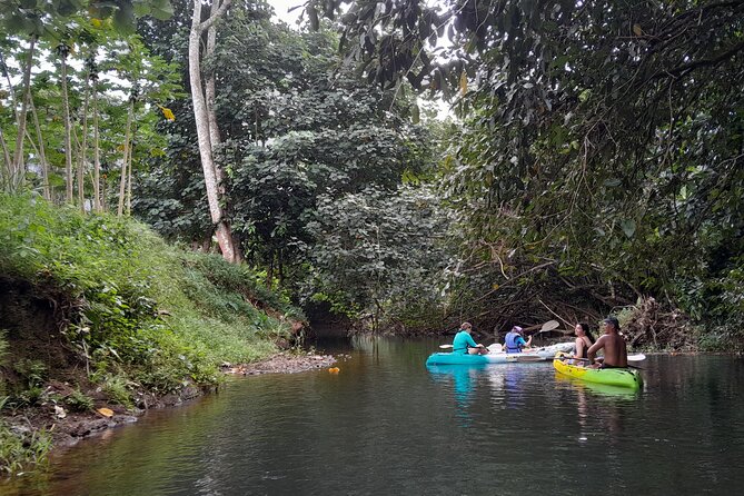 Discovery in Kayaking of the Faaroa River in Raiatea - What you will not see along the route
