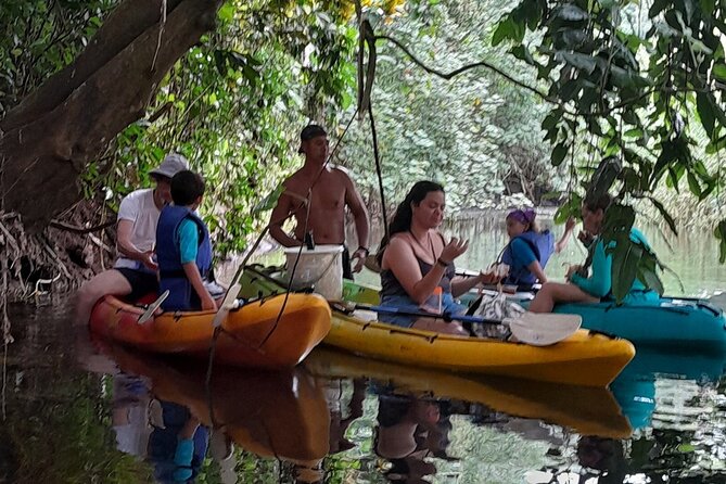 Discovery in Kayaking of the Faaroa River in Raiatea - Timing problems and how to protect your morning