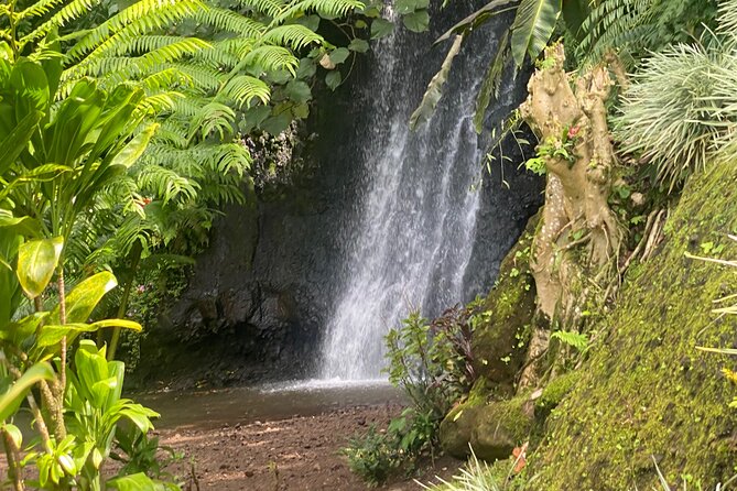 Discovery of Tahiti Nui Island - Key points to know before booking