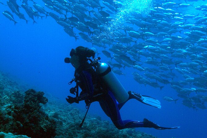 Diving initiation - Small groups make a real difference
