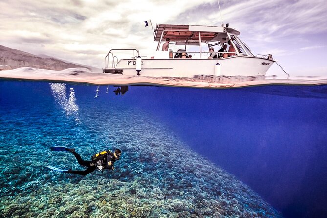 Double Diving Adventure Exploration for Certified Divers - Key points before you book