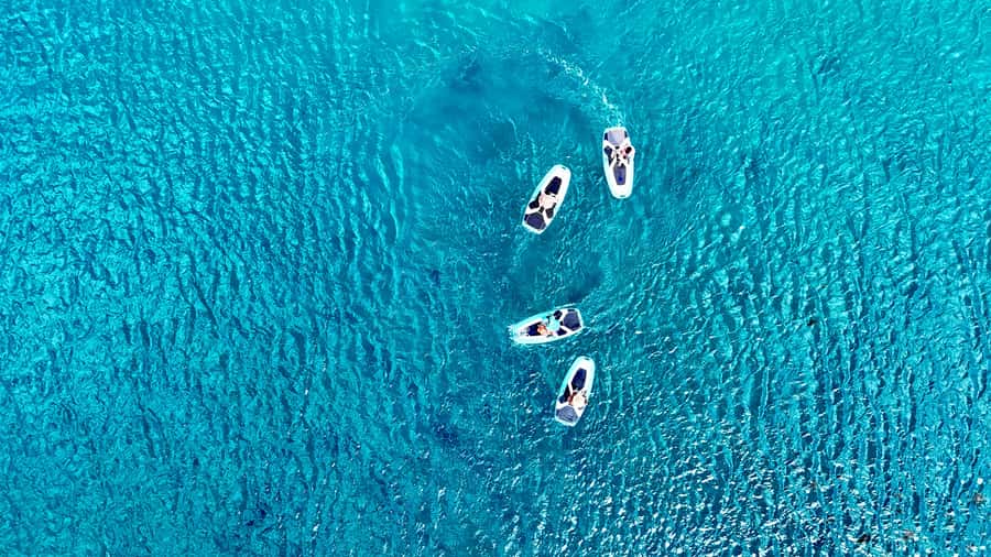 E-Board private tour of Moorea lagoon - Why this Moorea lagoon tour is worth considering