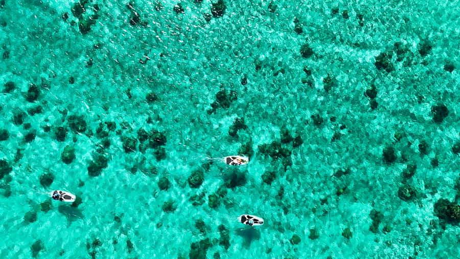 E-Board private tour of Moorea lagoon - Riding through Moorea’s changing shades of blue