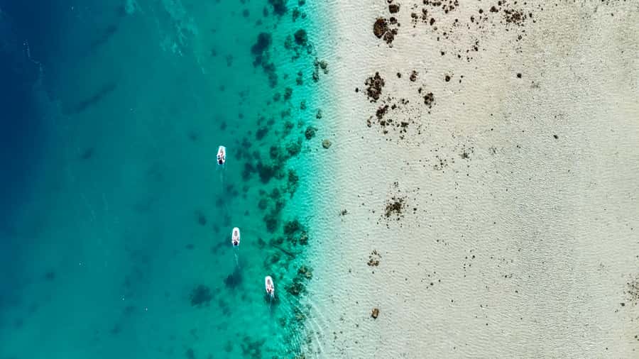 E-Board private tour of Moorea lagoon - Who will enjoy this most