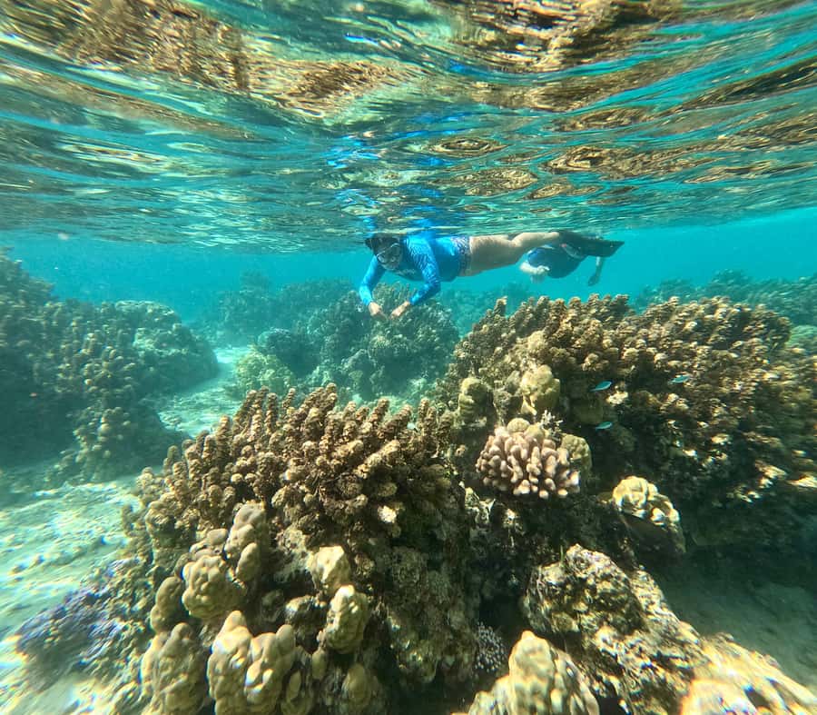 E-Board private tour of Moorea lagoon - How this compares with other Moorea outings