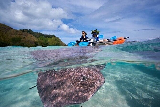 Eco guided excursion to the lagoon of Moorea in transparent kayak 1/2 day morning - Starting at Tiahura Beach at 8:00 a.m.