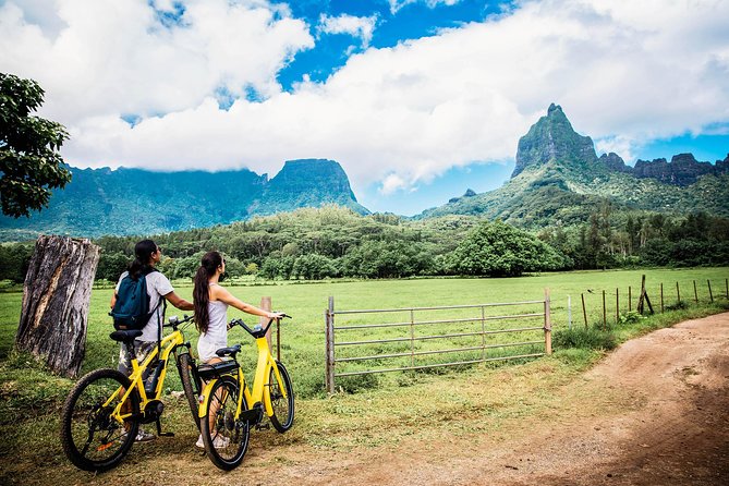 Electric Bike Rental Moorea - Delivery to your accommodation keeps the day simple