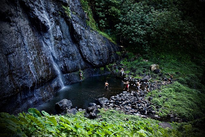 Enjoy Moorea Day Tour - The Tropical Garden adds plants and local flavor