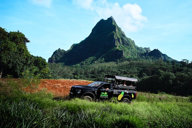 Enjoy Moorea Day Tour - Belvedere Lookout shows Moorea from the high country