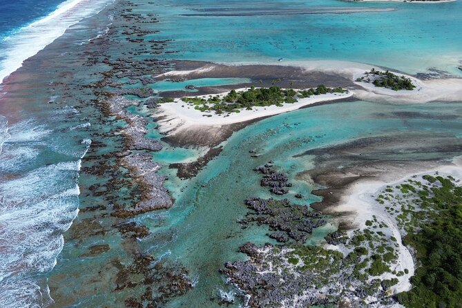 Excursion The Blue Lagoon and Reef Island - Lunch, coconut crab, and Rangiroa wine