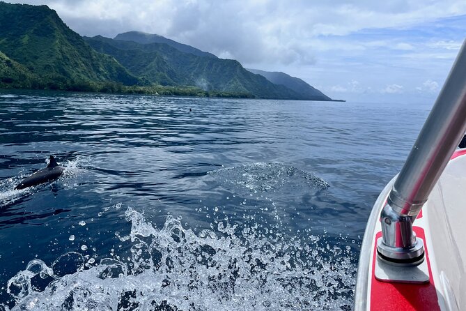 Excursion to discover the authentic Tahiti Peninsula 4:00 - Why Tahiti Iti makes a better boat trip than a standard lagoon cruise
