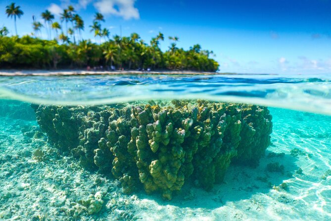 Excursion to Tetiaroa by Catamaran Visit Lunch Snorkeling - Key points before you book