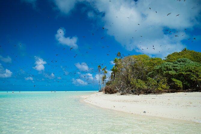 Excursion to Tetiaroa by Catamaran Visit Lunch Snorkeling - One hour of snorkeling around the boat