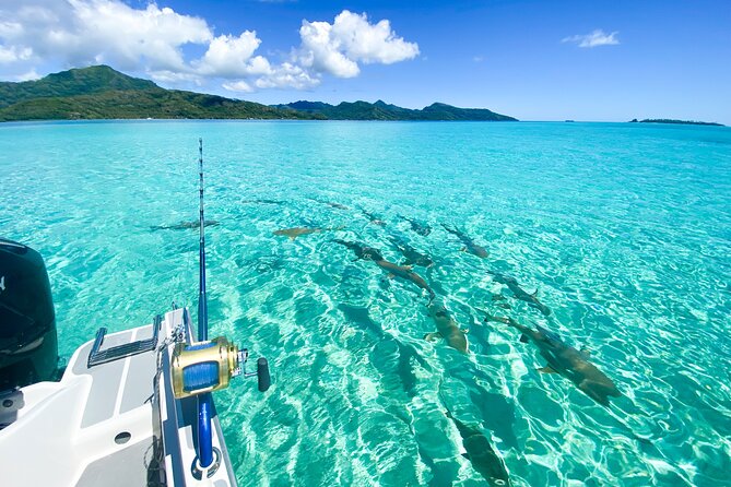 Exploration, Taha'a Lagoon Tour by Private Boat - Key points to know before booking