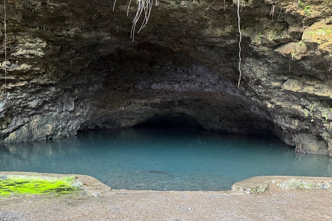 Explore Tahiti in depth in a day - Twin Waterfalls and the chance to swim