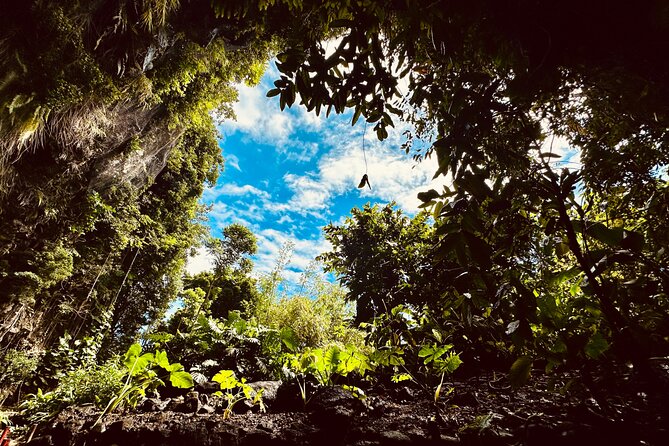 Explore Tahiti Nui, its landscapes and iconic sites. - Pointe Venus begins the story at Matavai Bay