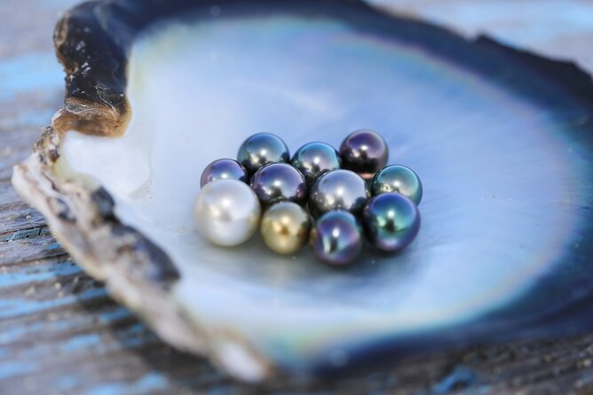 Explore the Vanilla Island Full-Day Tour to Taha’a from Bora Bora - Ia Ora Na Pearl Farm and Tahitian black pearls