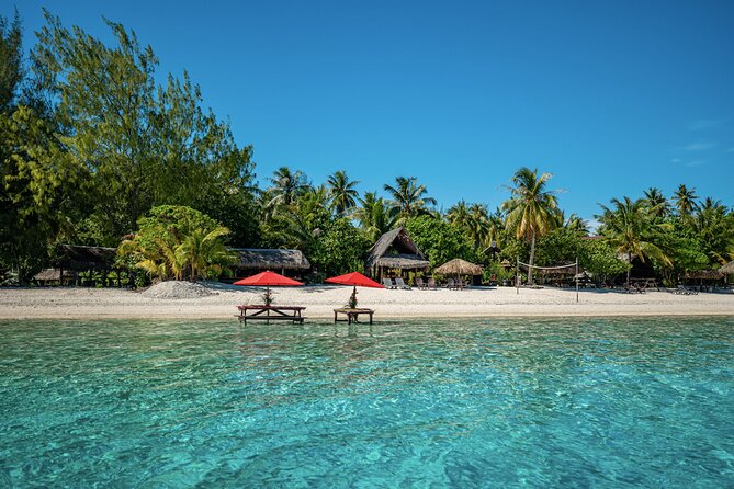 French Polynesia Snorkeling and 4X4 Adventure Tour with Buffet - Why this Bora Bora tour works so well