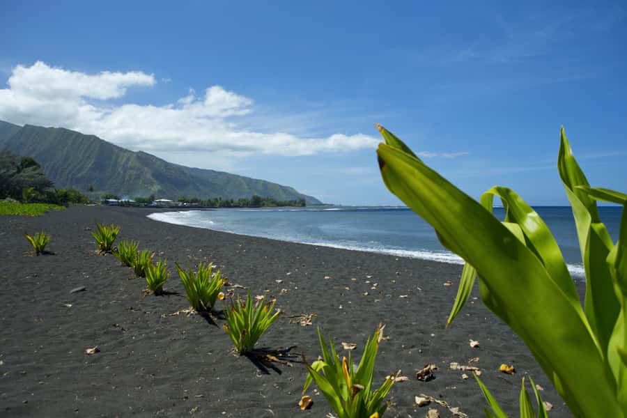 From Papeete: Tahiti Highlights Full-Day Private Tour - Vaipahi Water Gardens, where the pace slows down