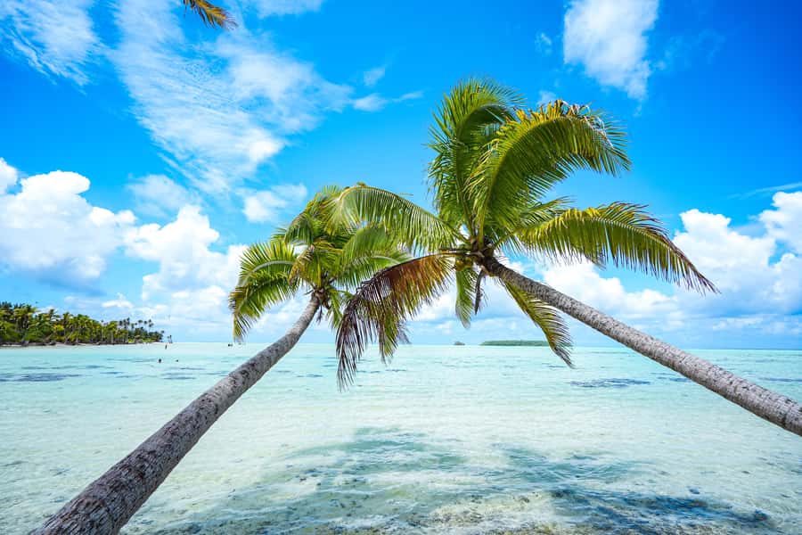 From Tahiti: Tetiaroa Island Tour by Sailing Catamaran - Why Tetiaroa makes the long crossing worthwhile