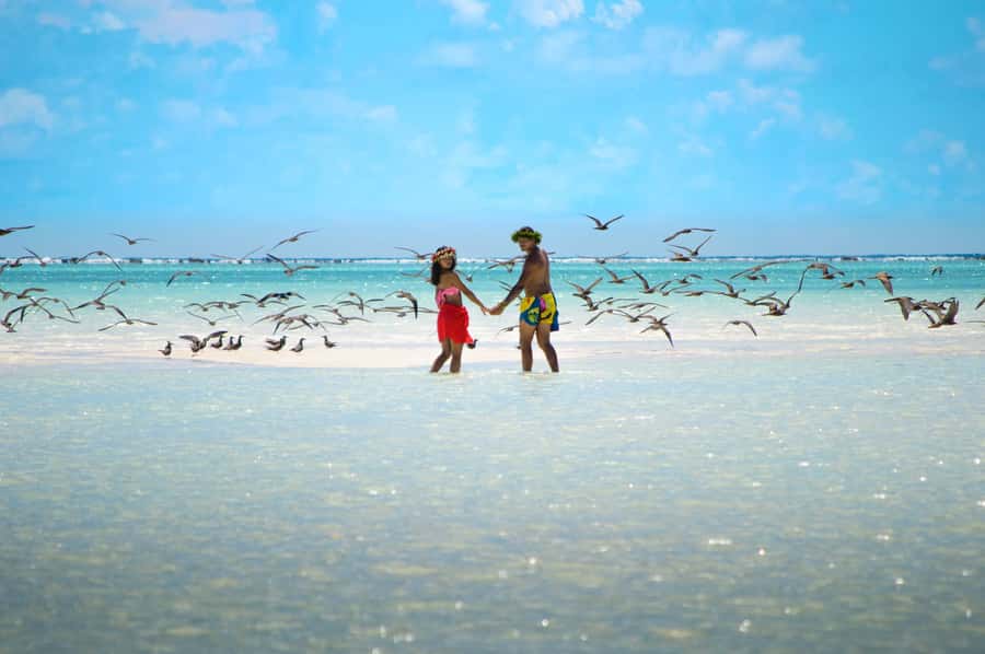 From Tahiti: Tetiaroa Island Tour by Sailing Catamaran - Who will enjoy this Tetiaroa tour?
